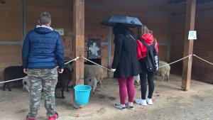 WP_20181021_13_39_43_Pro